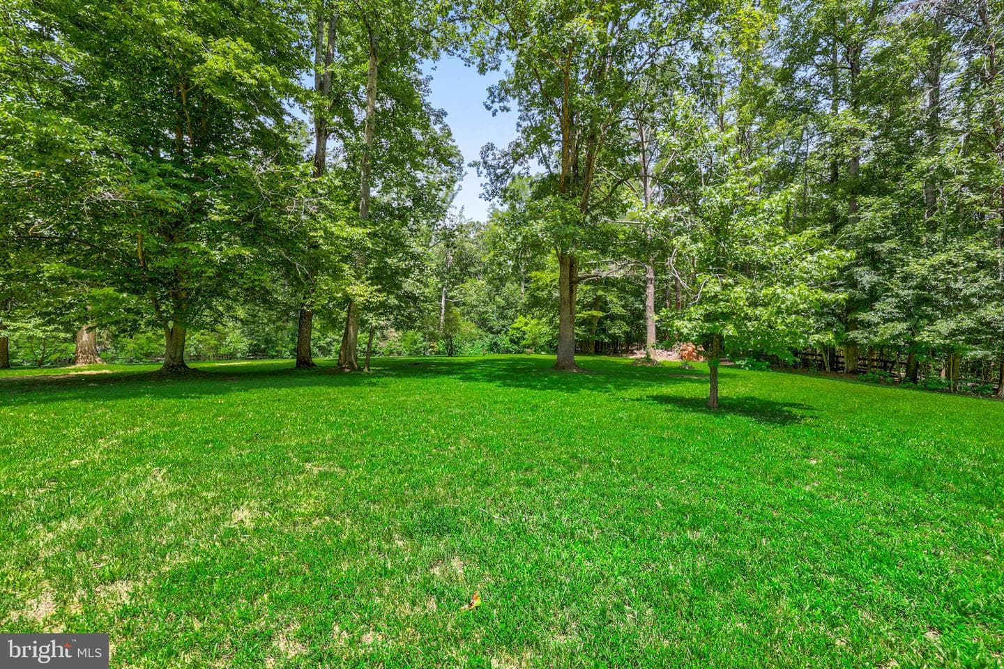 13310 Country Way Circle photo 42