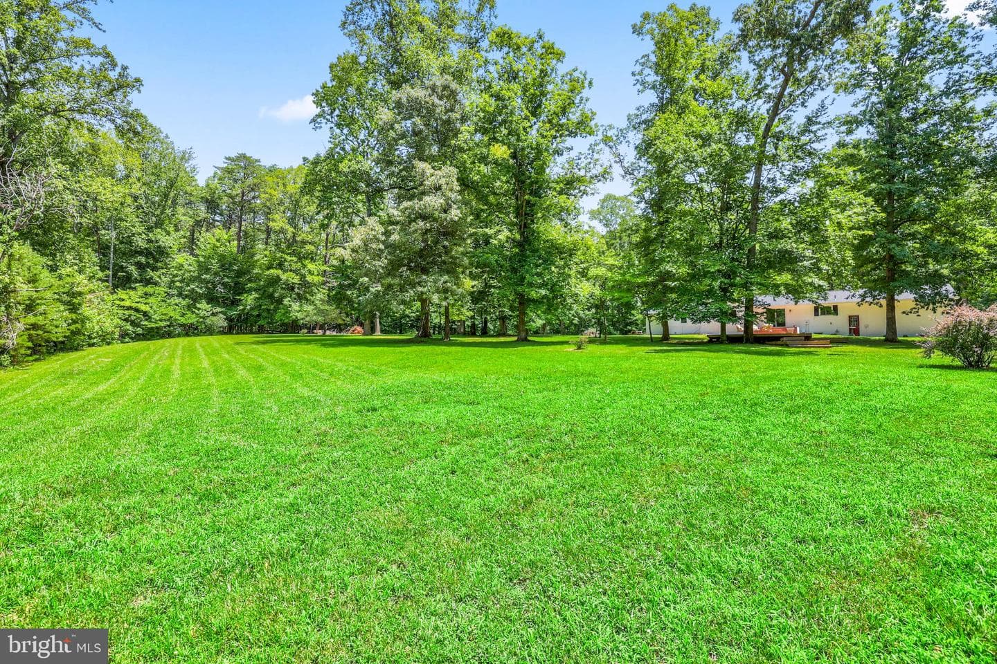 13310 Country Way Circle photo 43
