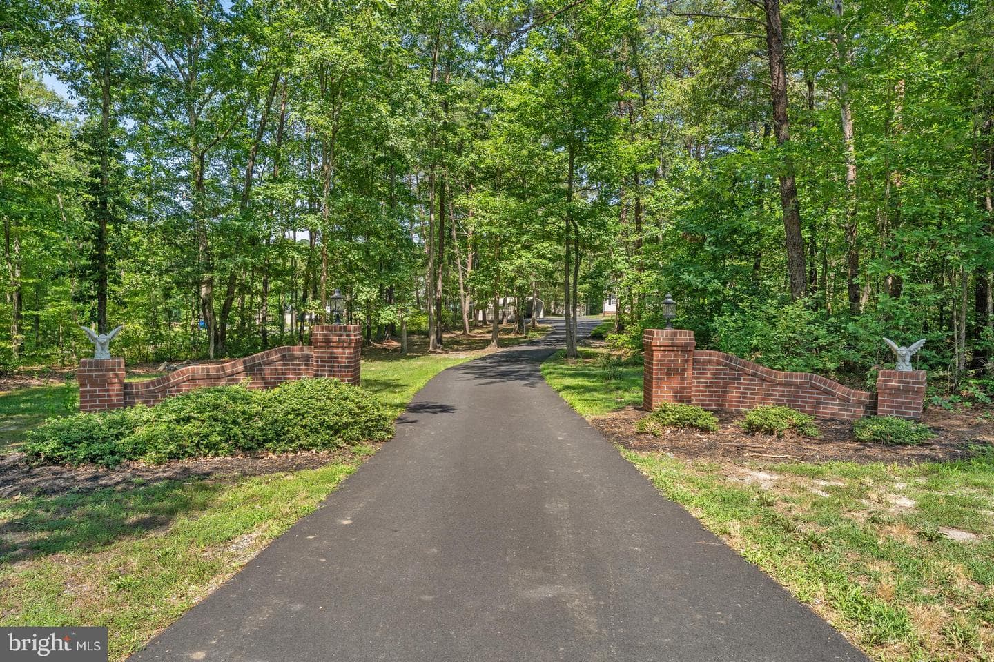 4210 Shepherds Road photo 3