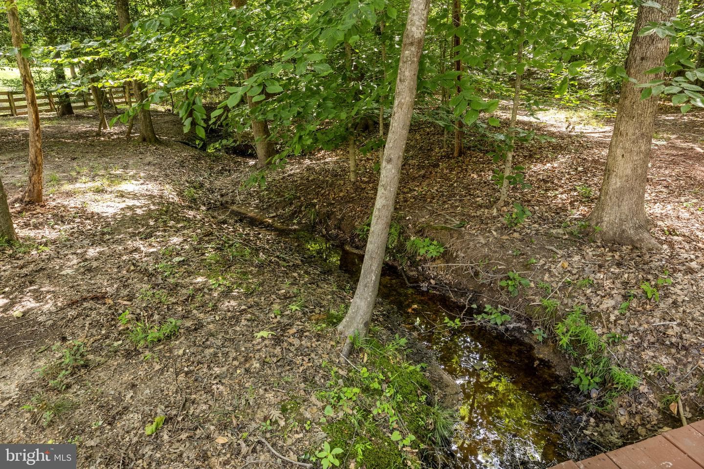 8101 Avocet Way photo 72