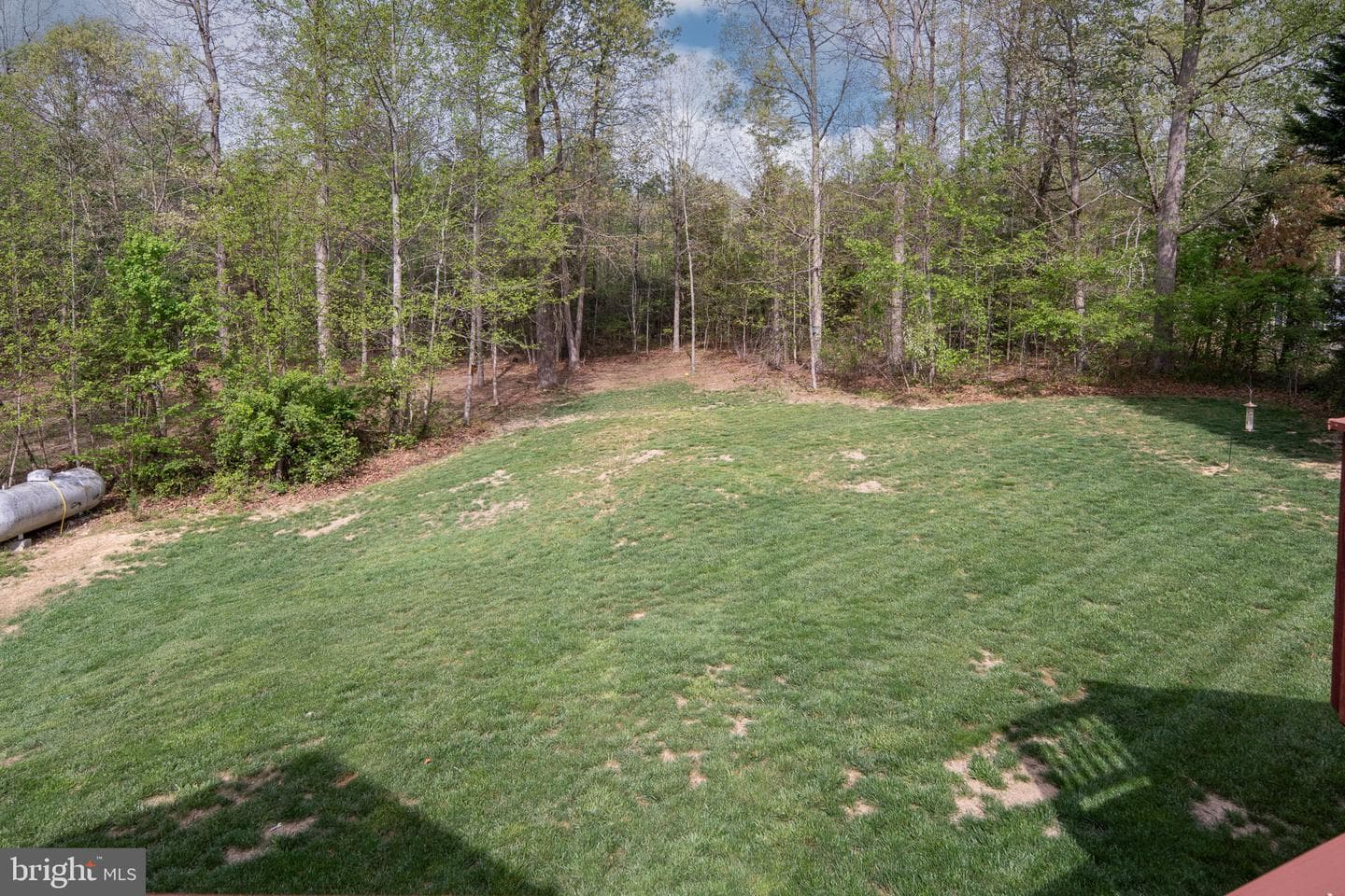 6814 Tupelo Drive photo 13