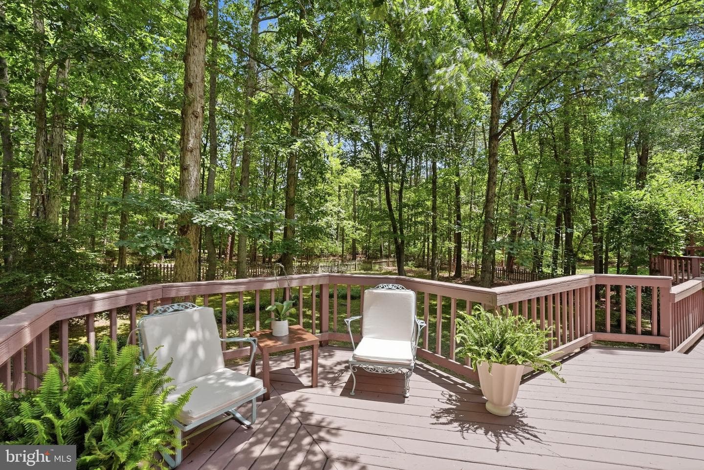 10829 Perrin Circle photo 51