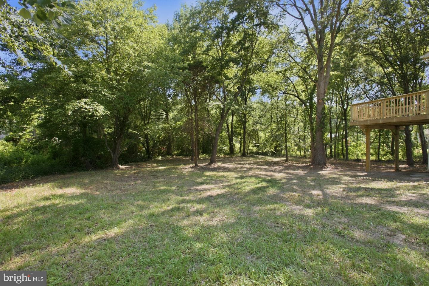 10921 Peach Tree Drive photo 30