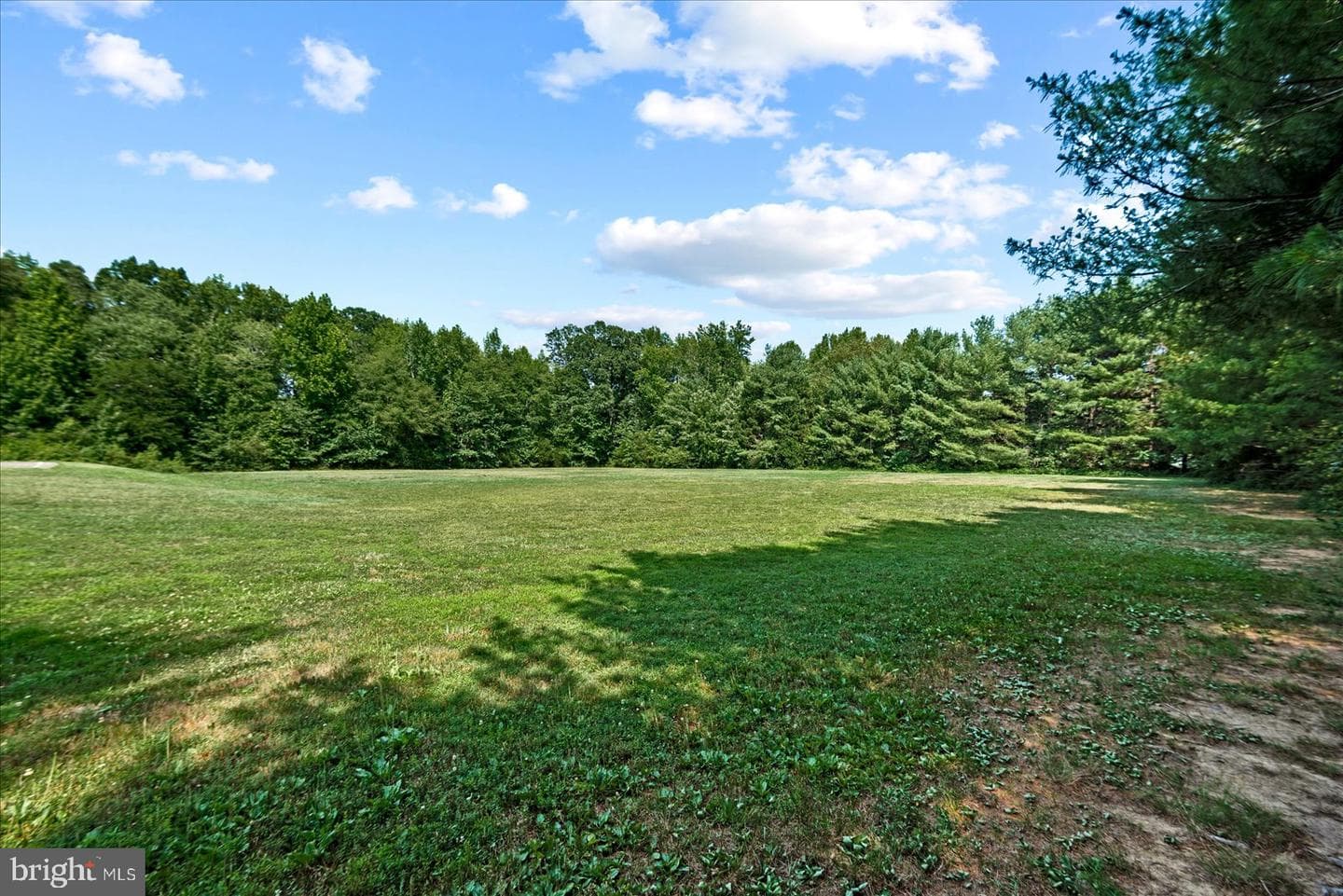 10505 Tidewater Plains Drive photo 26