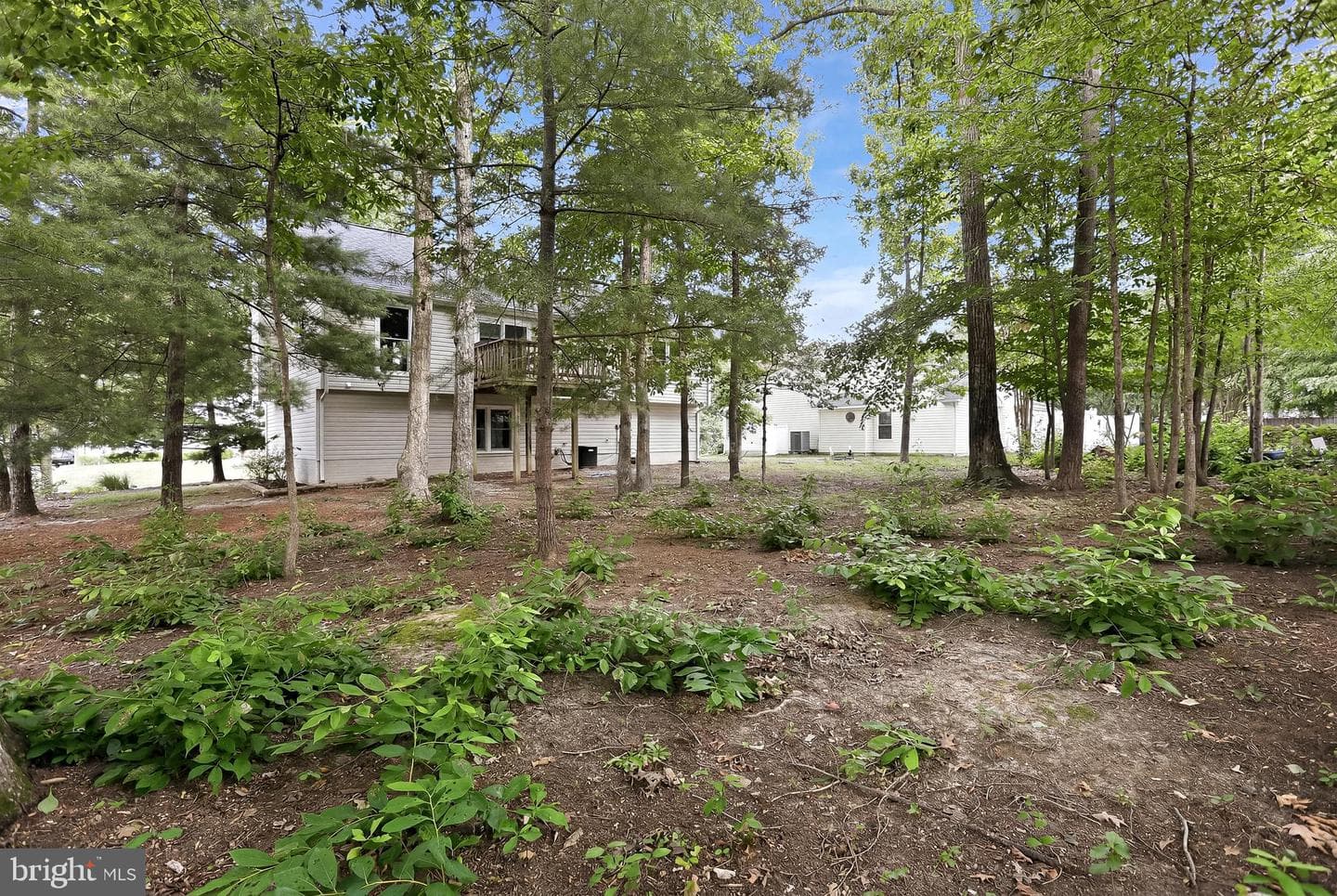10608 Crestwood Drive photo 31