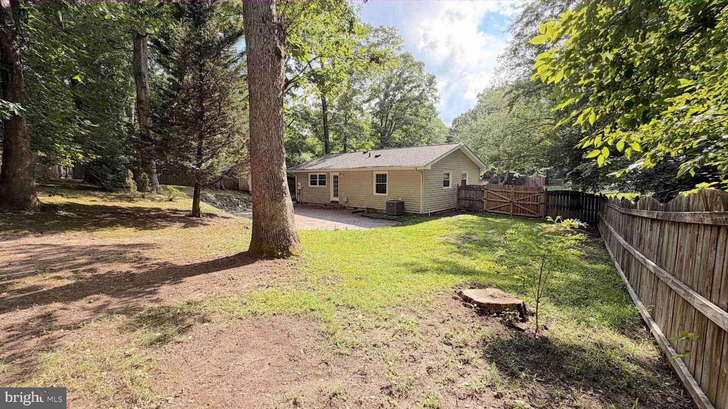 304 Albany Street photo 24