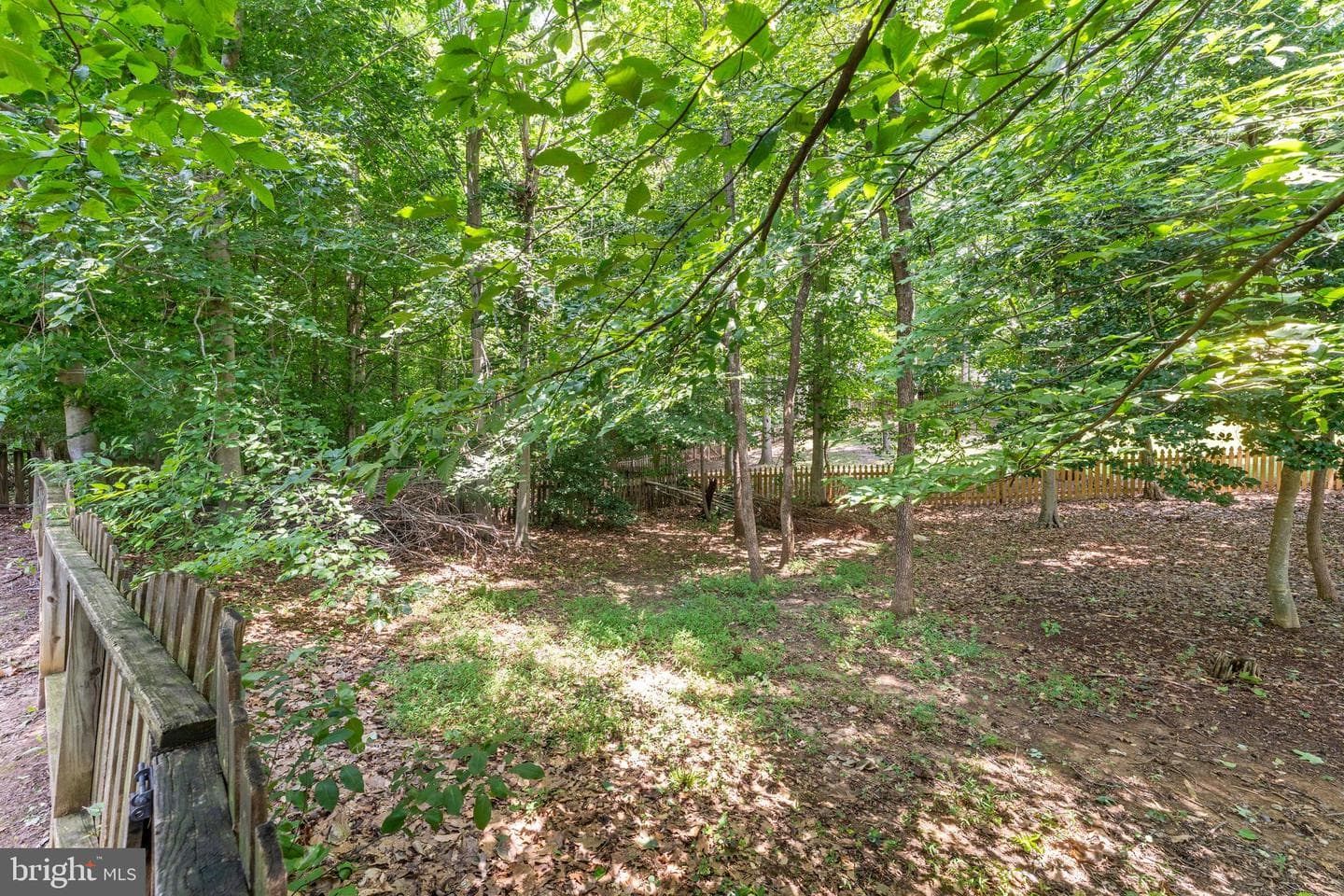 9901 Ashmeade Court photo 54