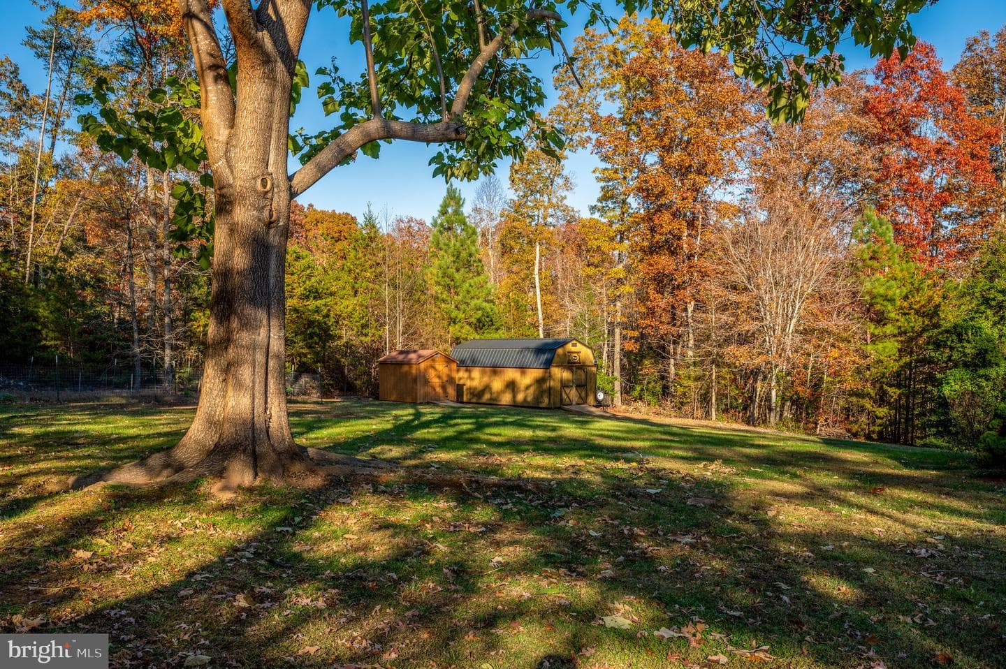 10325 Mill Pond Road photo 20