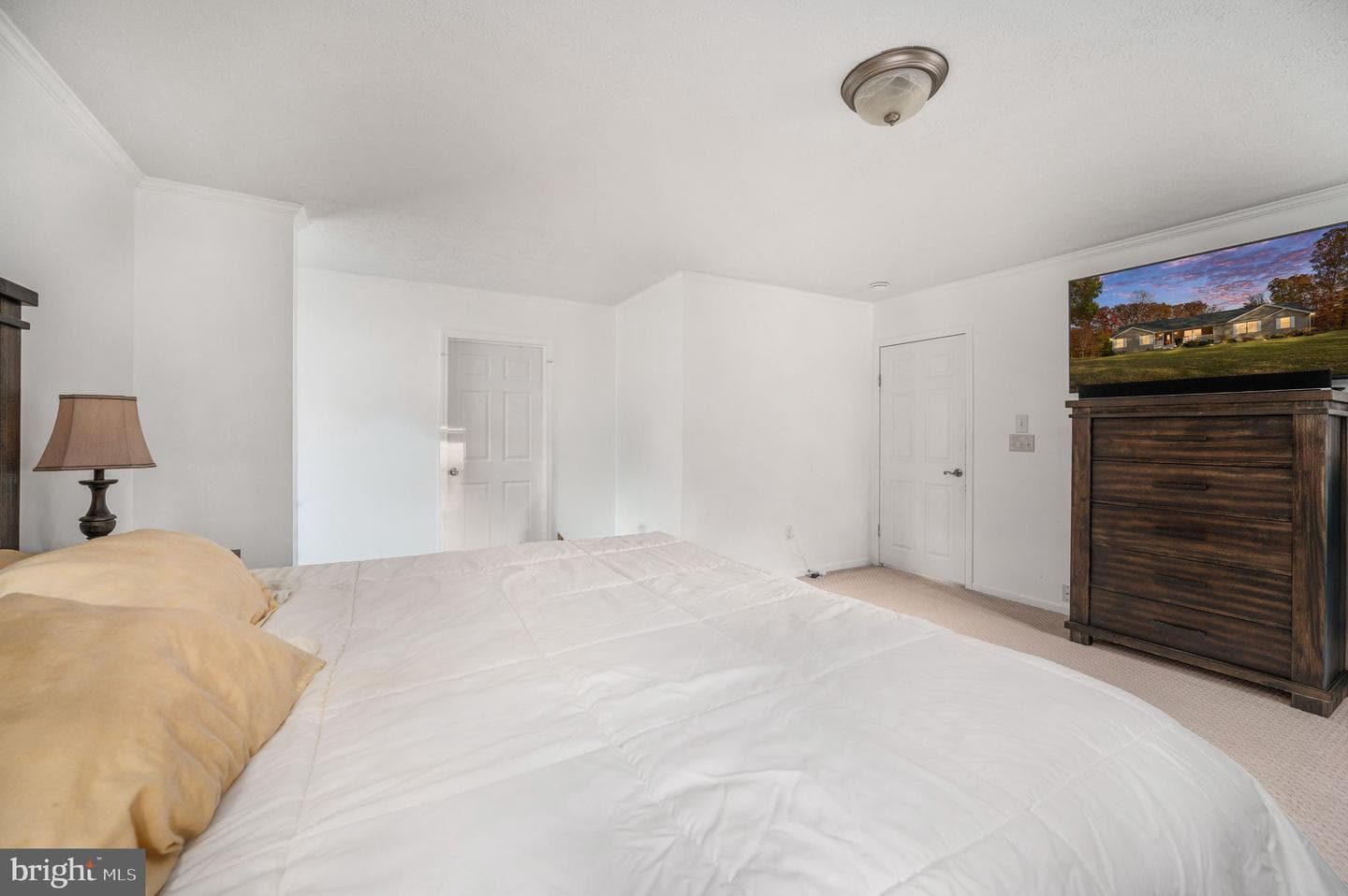 10325 Mill Pond Road photo 51