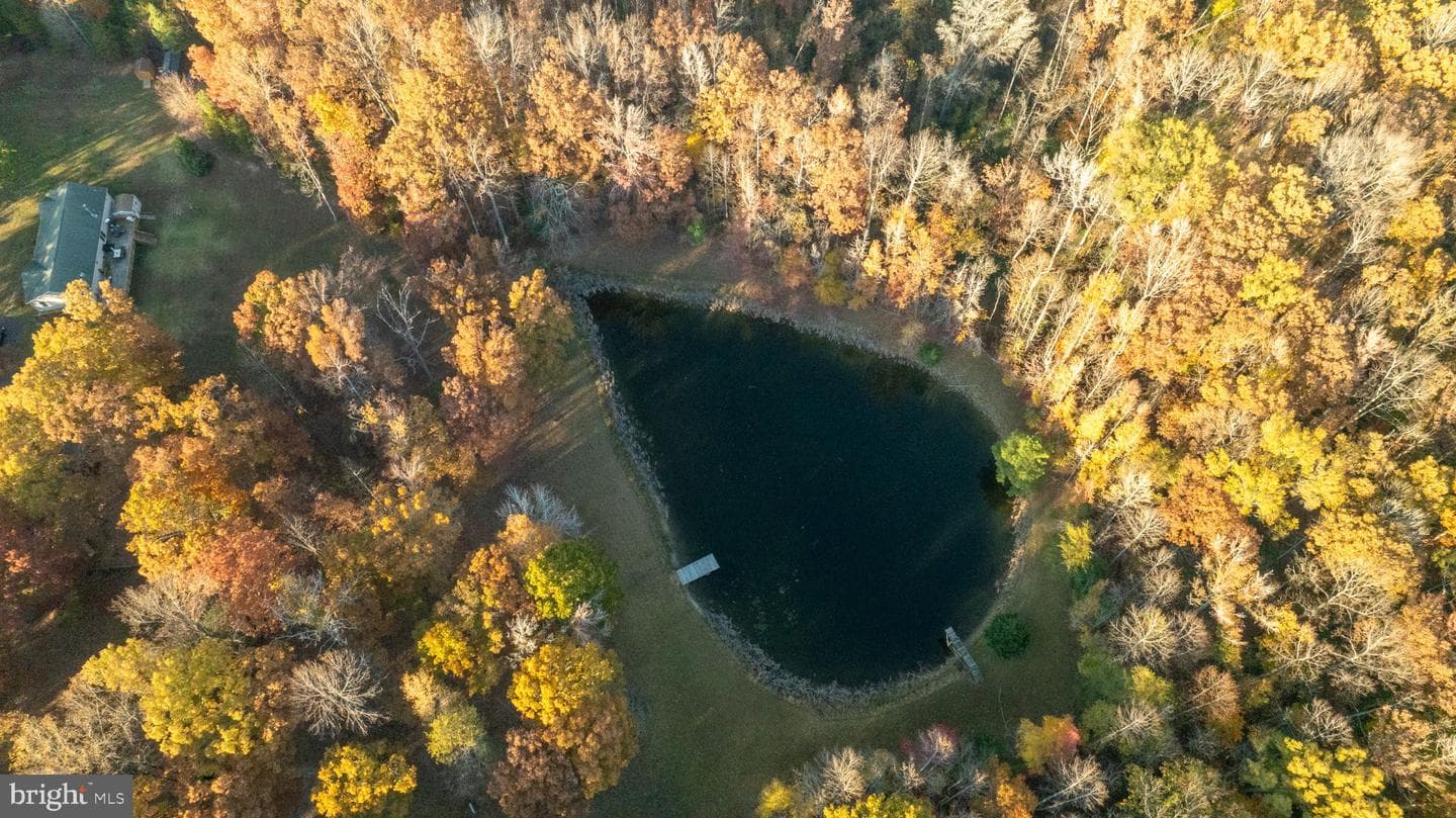 10325 Mill Pond Road photo 67