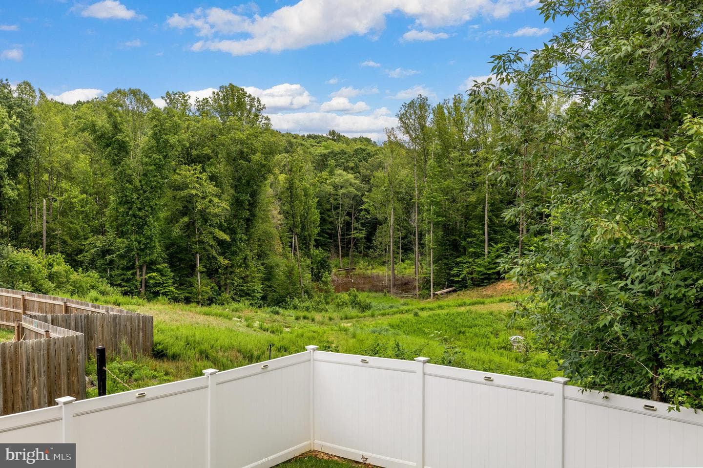 9304 Cedar Forest Drive photo 7