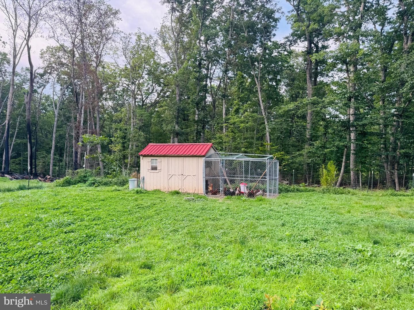 10409 Treaty Court photo 95