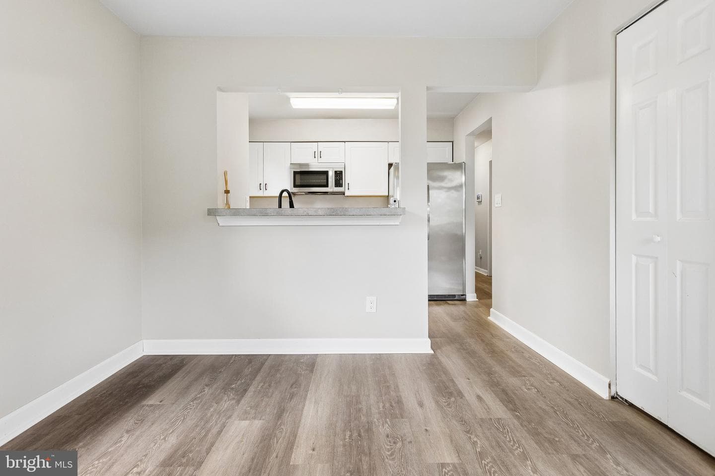 343 Albany Street photo 9