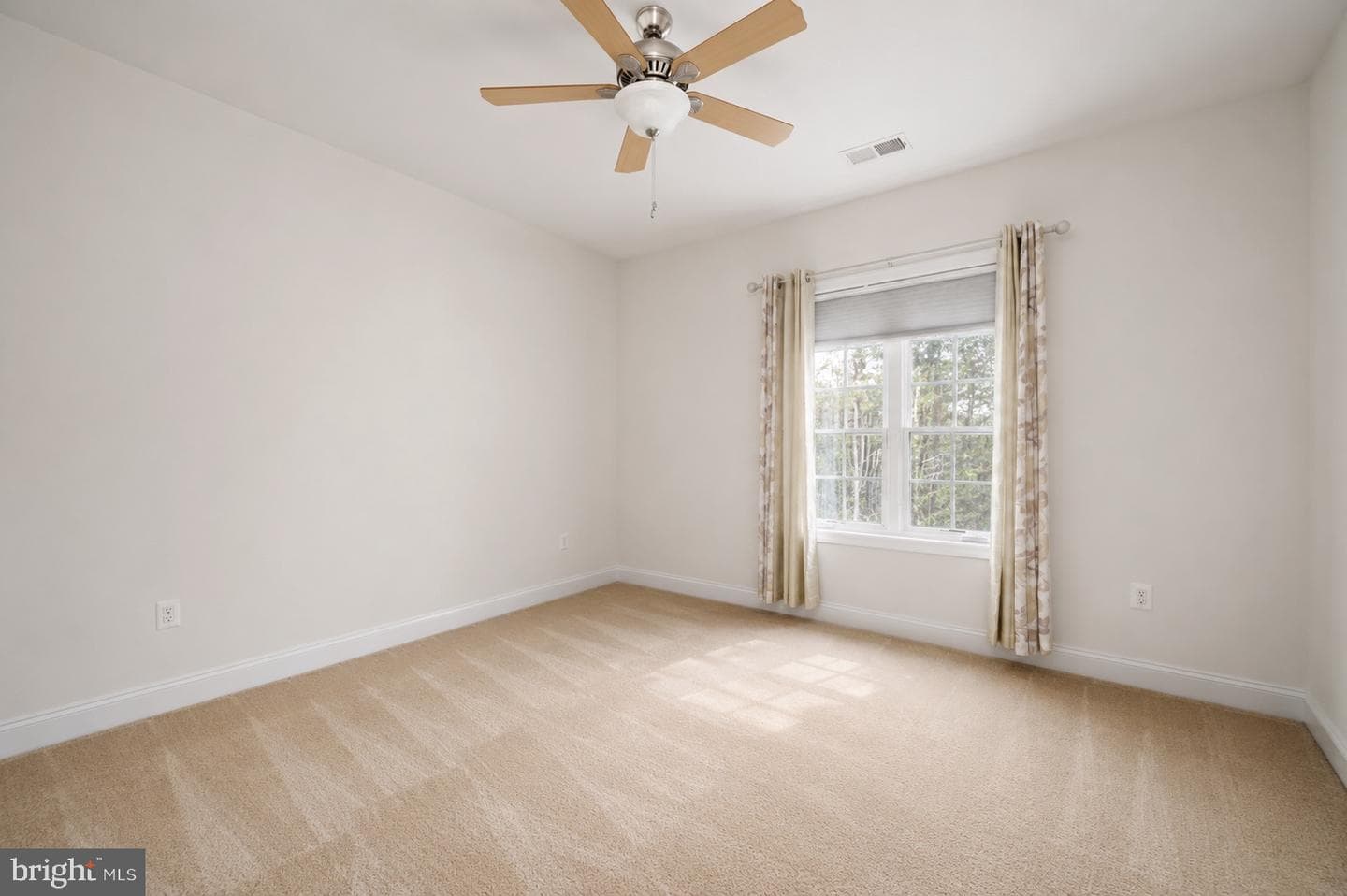 11613 Pine Hollow Lane photo 65