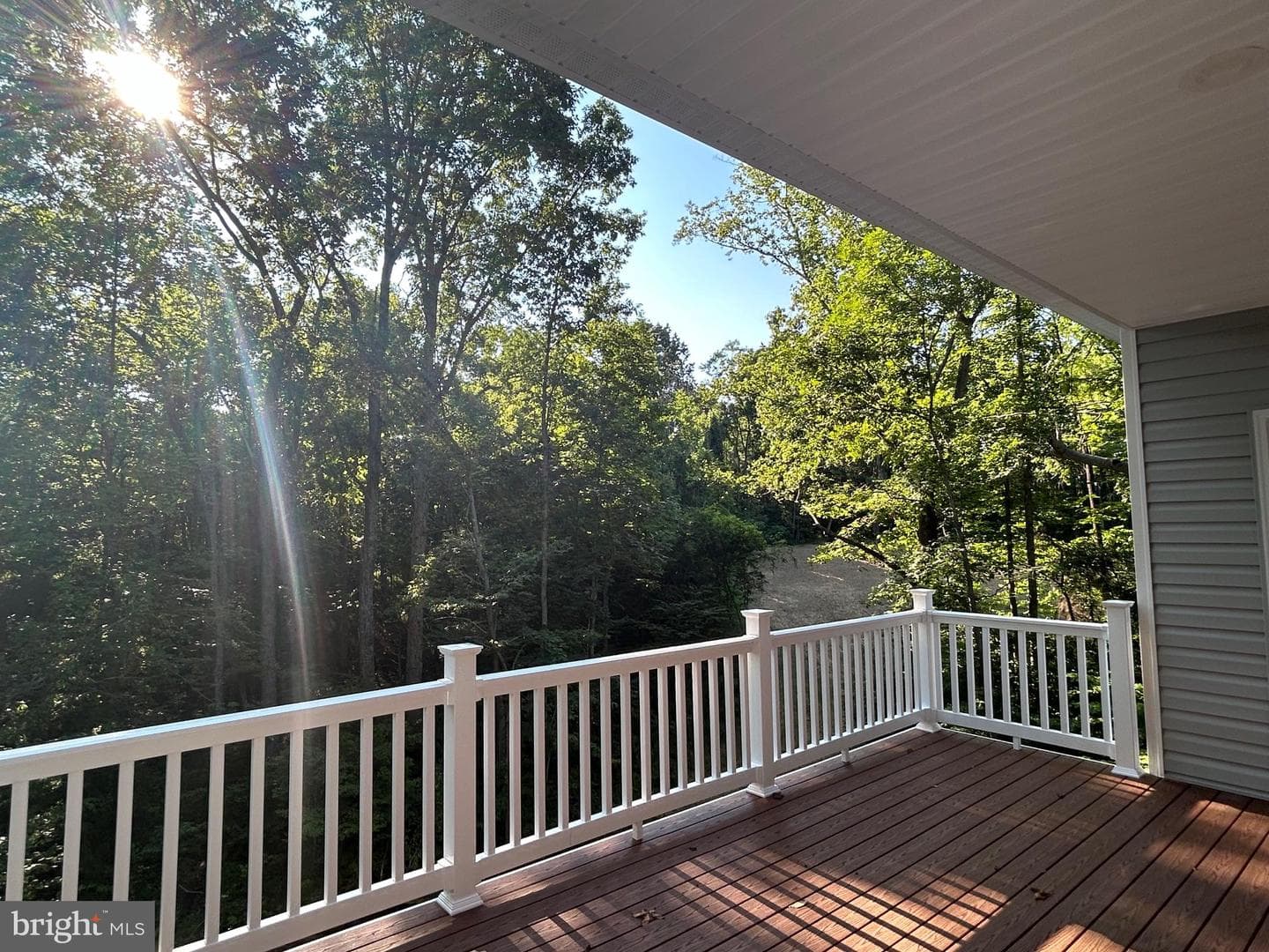 6313 Chickahominy Court photo 2