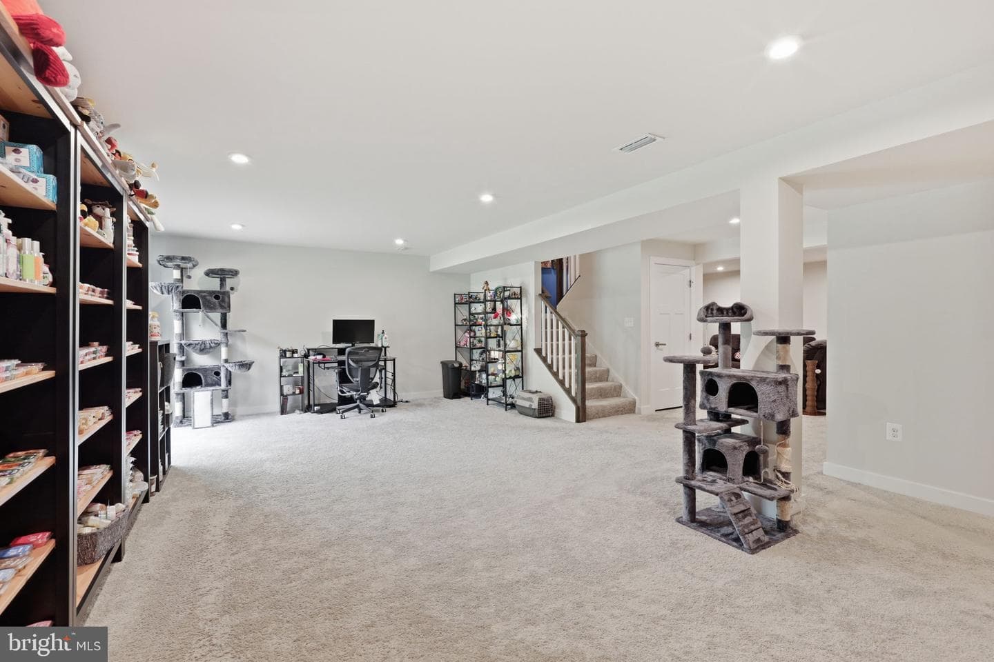 5409 Ivy Hill Drive photo 48
