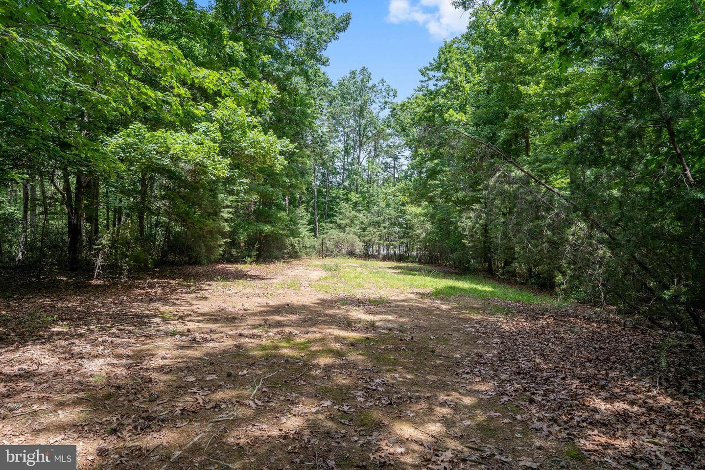 8622 Laroque Run Drive photo 79