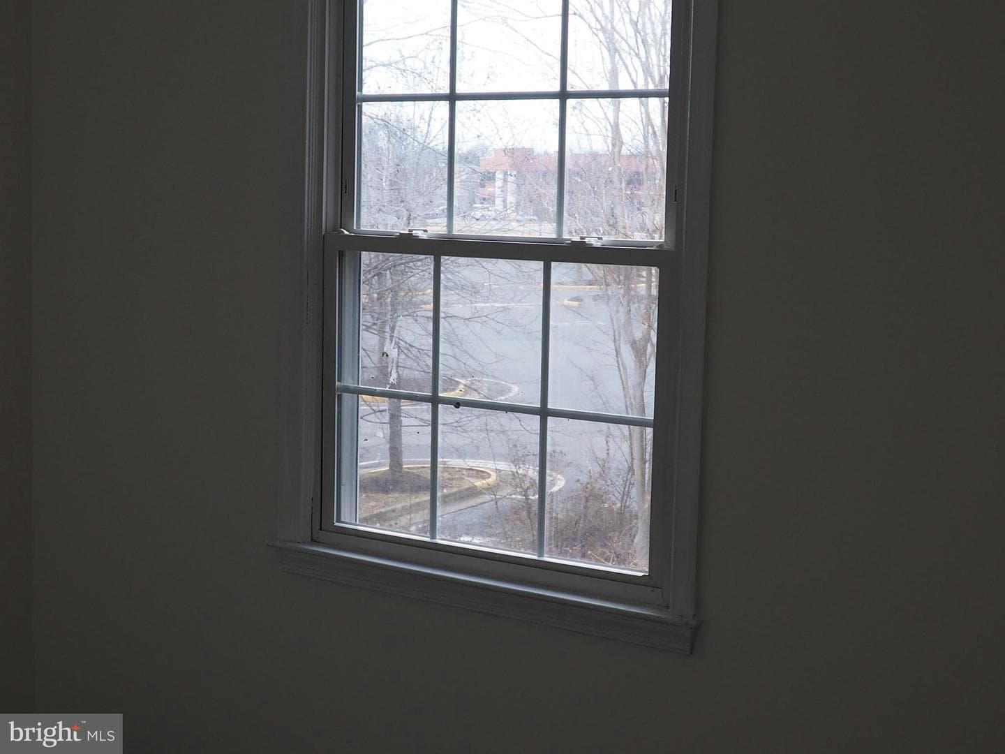 401 Madison Court photo 24