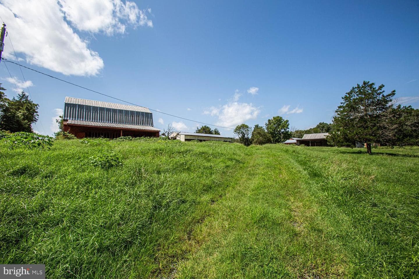 50 Cedar Oaks Lane photo 44