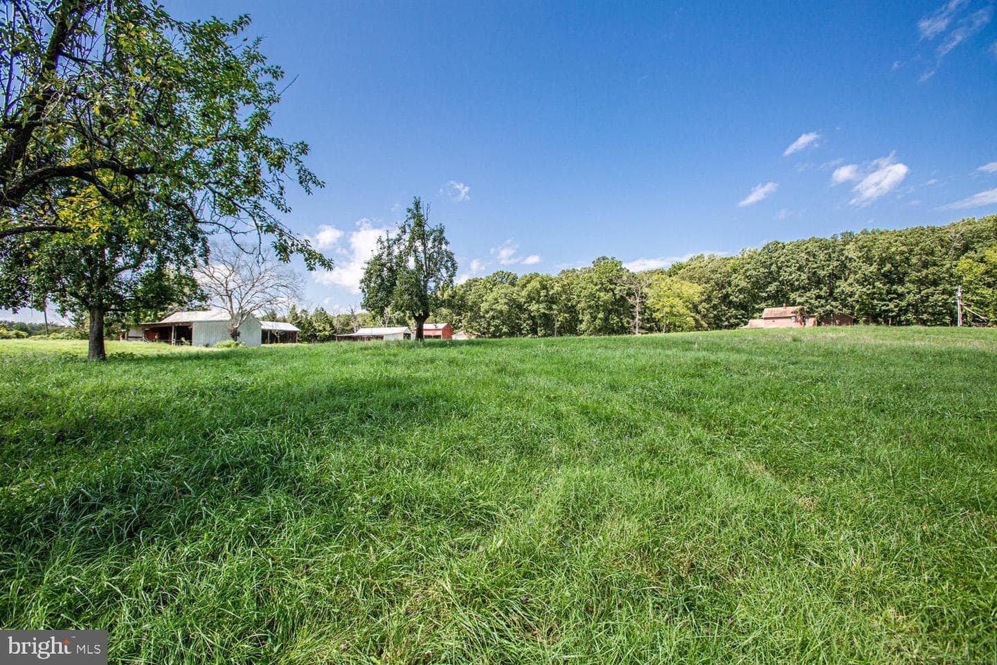 50 Cedar Oaks Lane photo 46