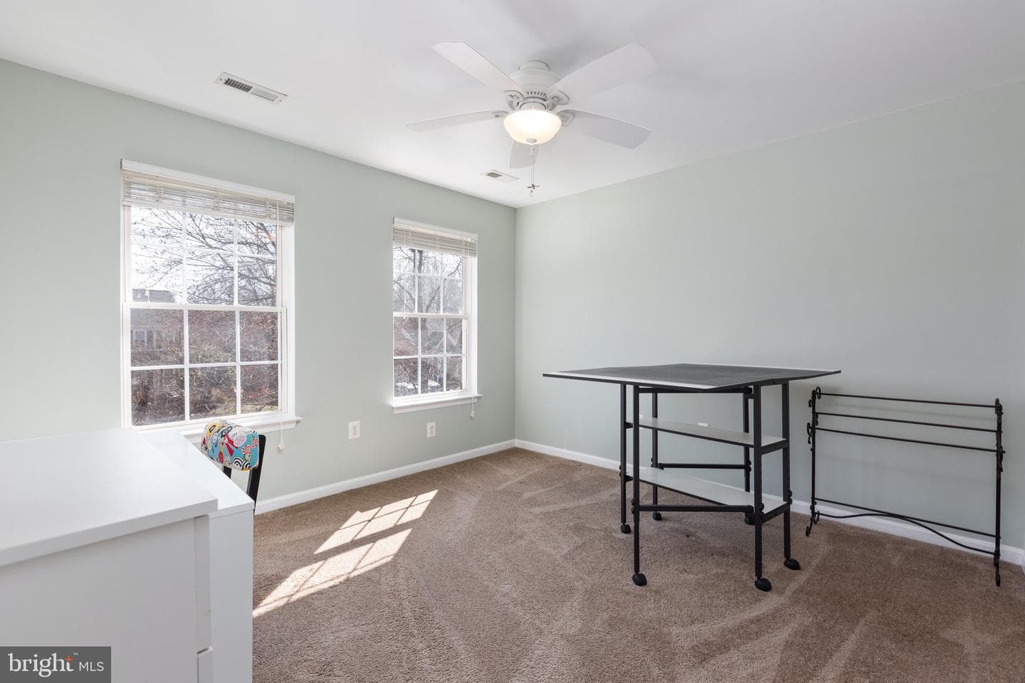 48 Basalt Drive photo 28