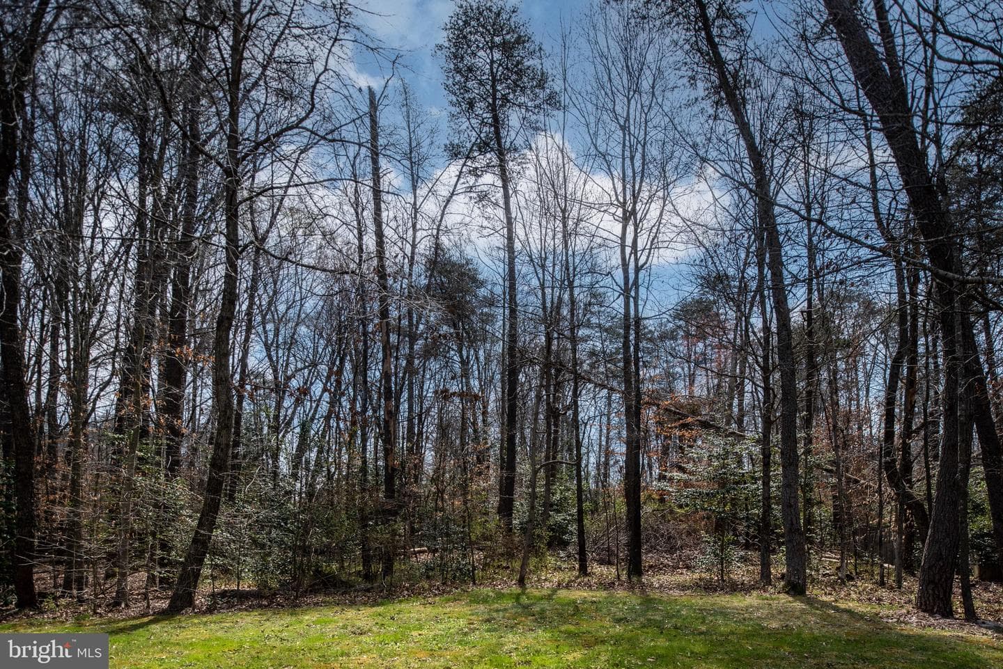 9 Quartz Circle photo 66