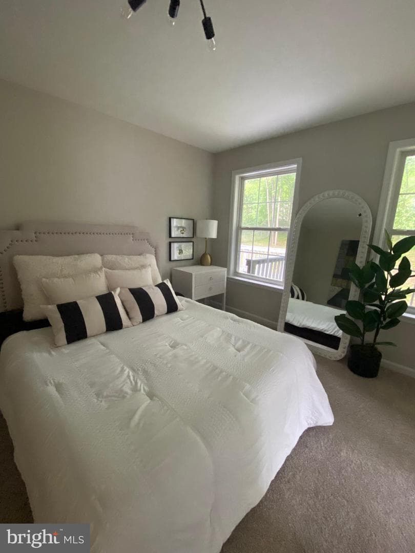 10 Myrtle Road photo 42