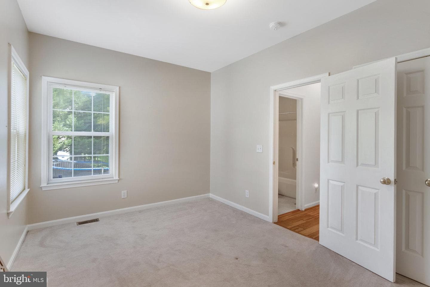 42 Live Oak Lane photo 19