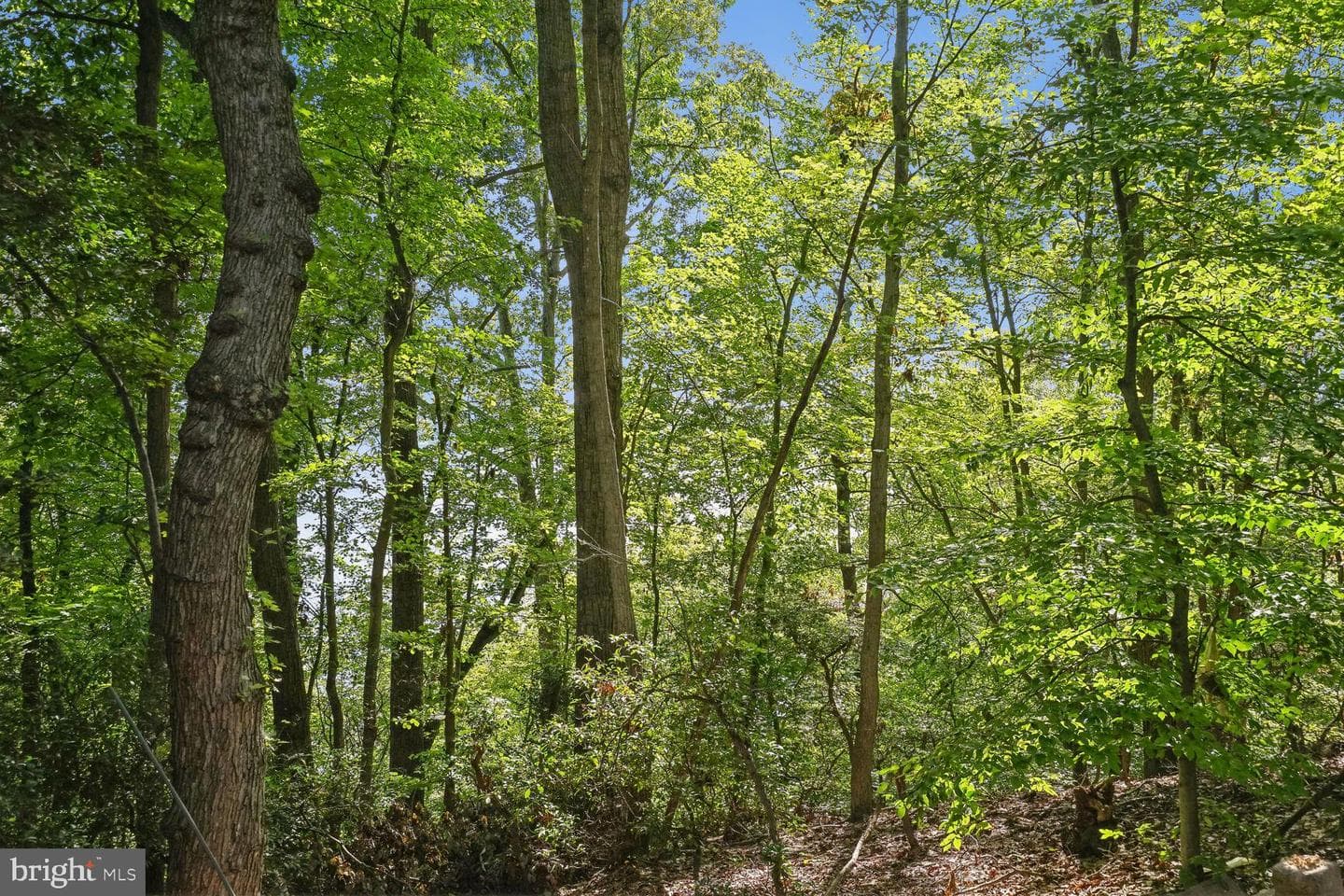 288 Aquia Creek Road photo 49