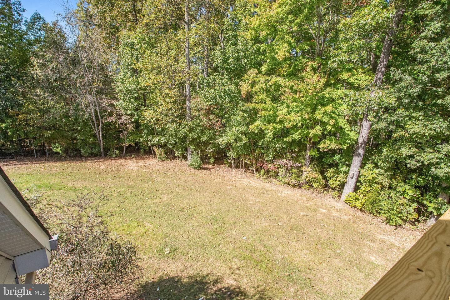 115 Mount Olive Road photo 46