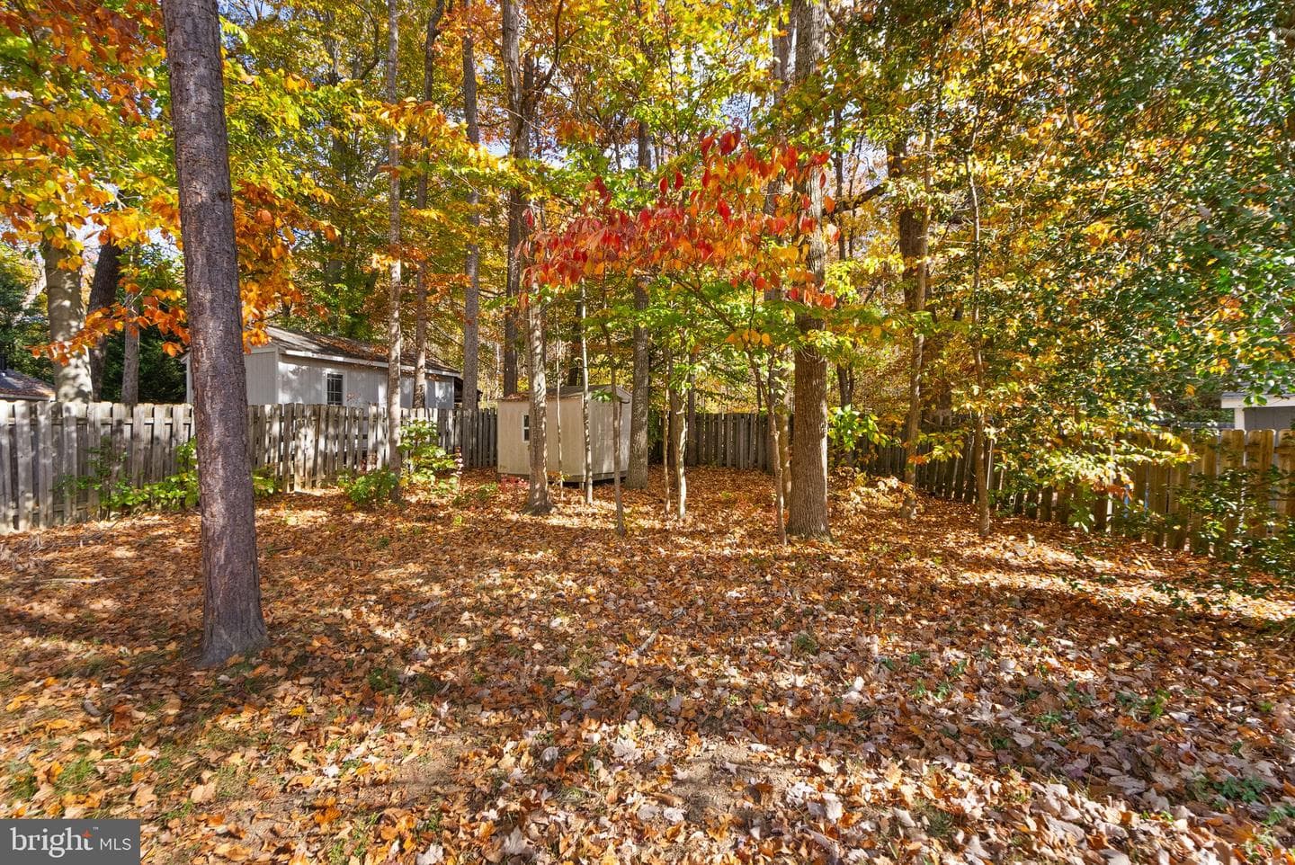 55 Meadowood Drive photo 62