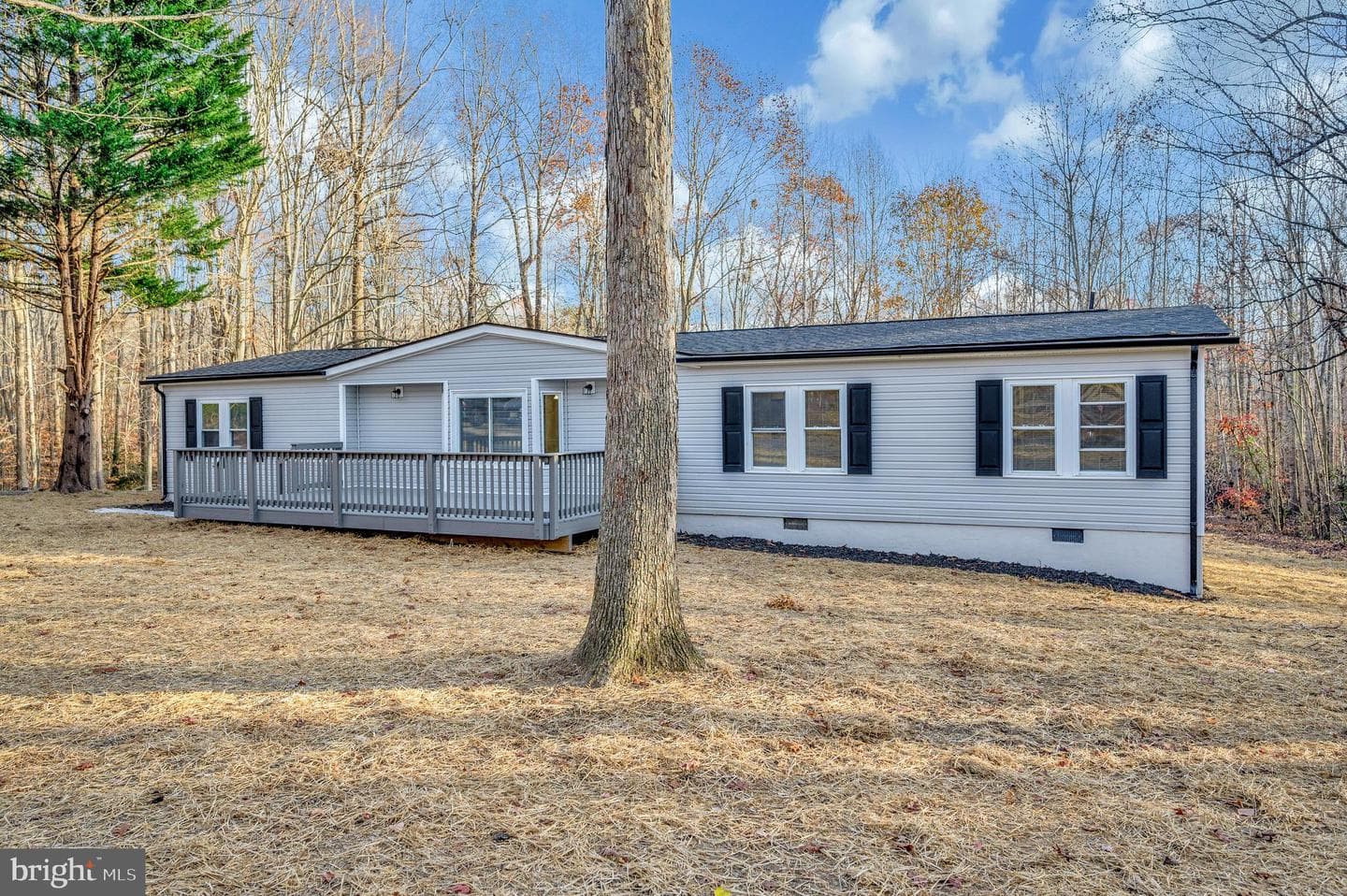 175 Meadows Road photo 49
