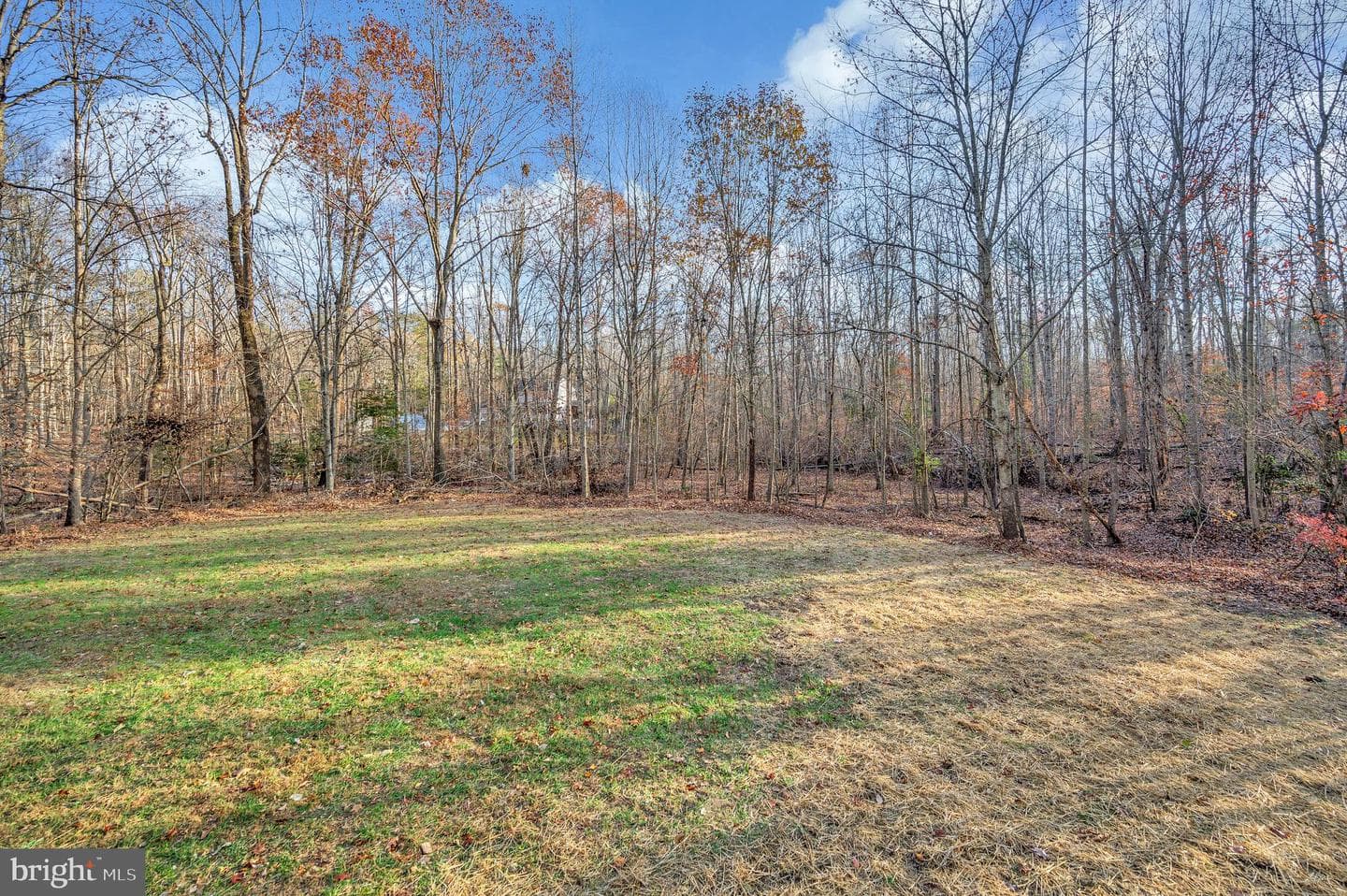 175 Meadows Road photo 54