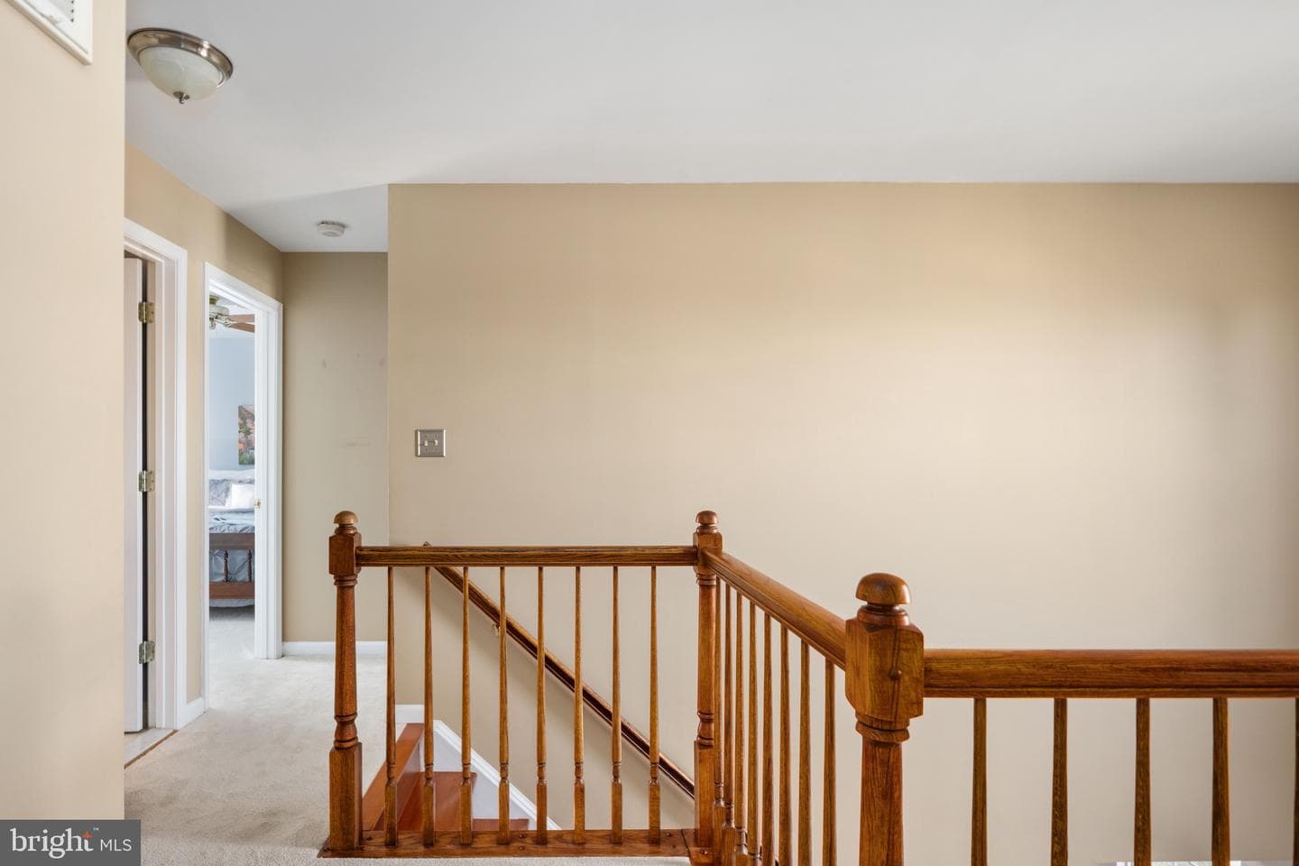 9 Hampshire Court photo 22