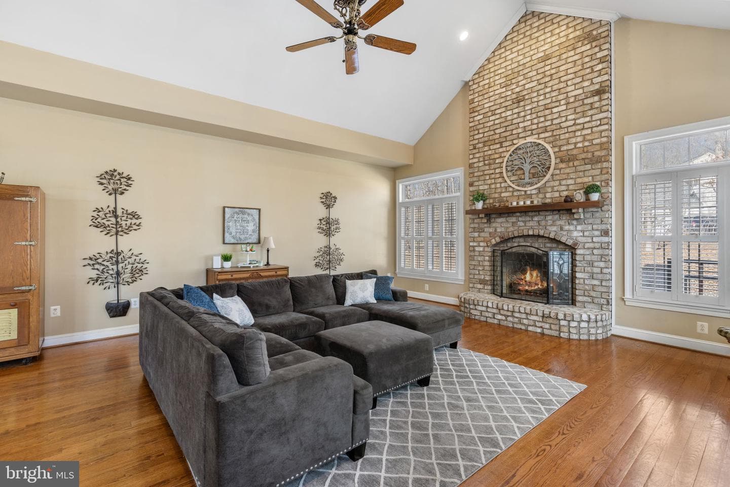 8 Holly Court photo 19
