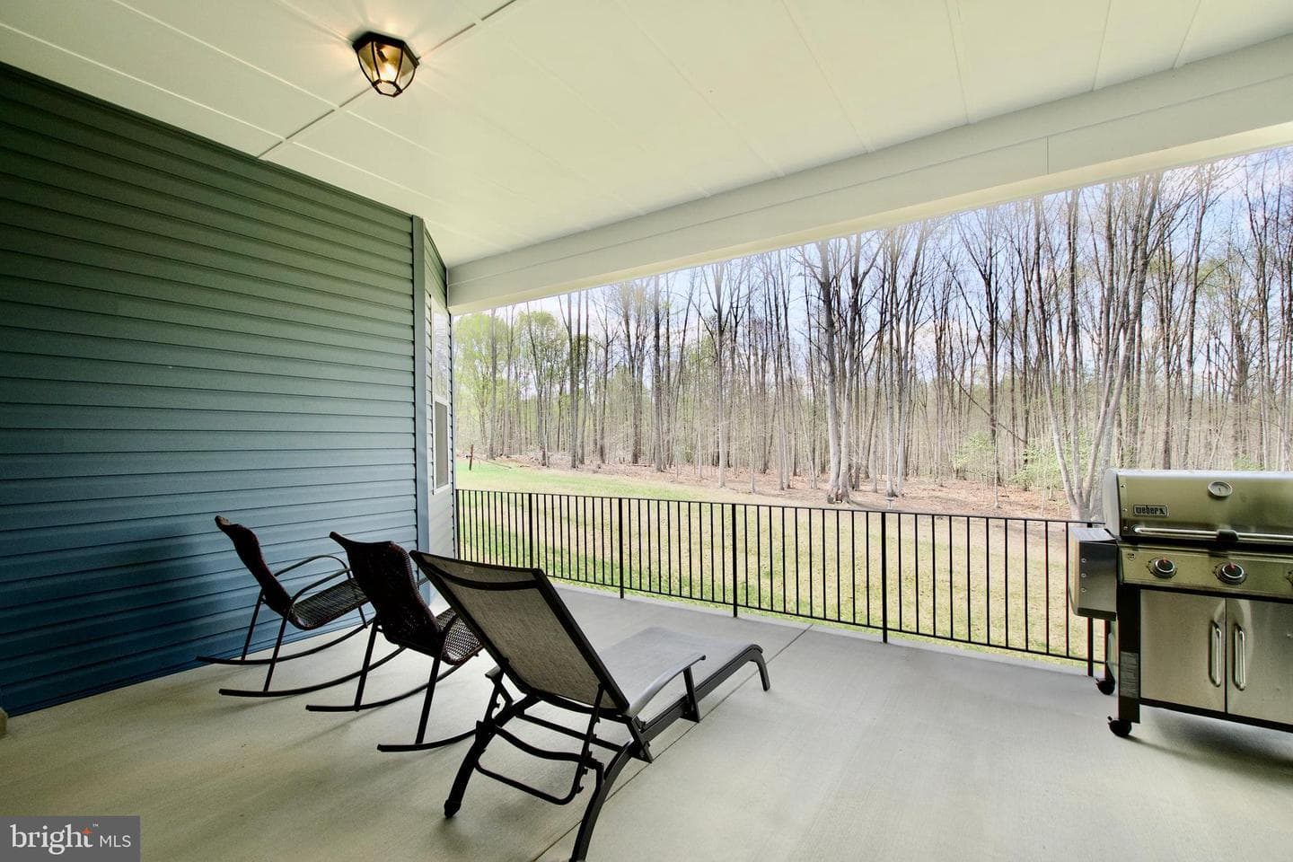 117 Liberty Garden Lane photo 31
