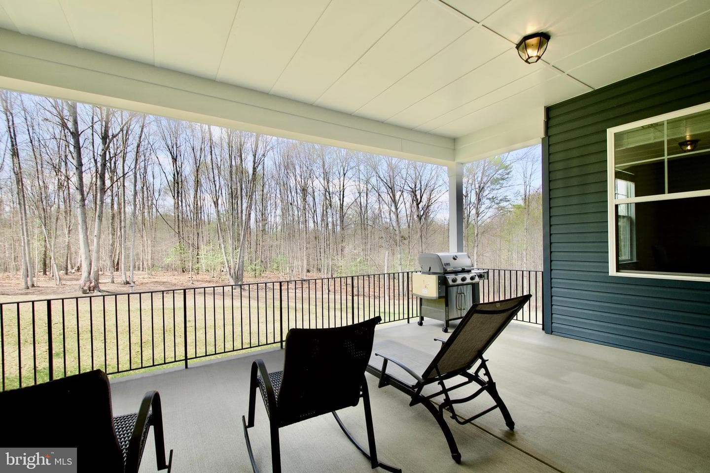 117 Liberty Garden Lane photo 32