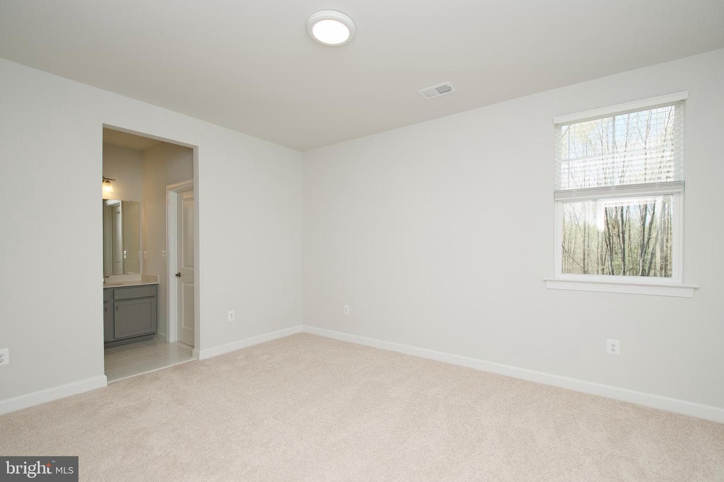 117 Liberty Garden Lane photo 37