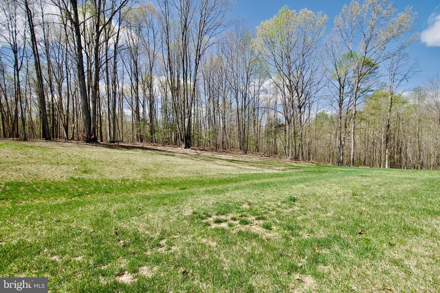 117 Liberty Garden Lane photo 52