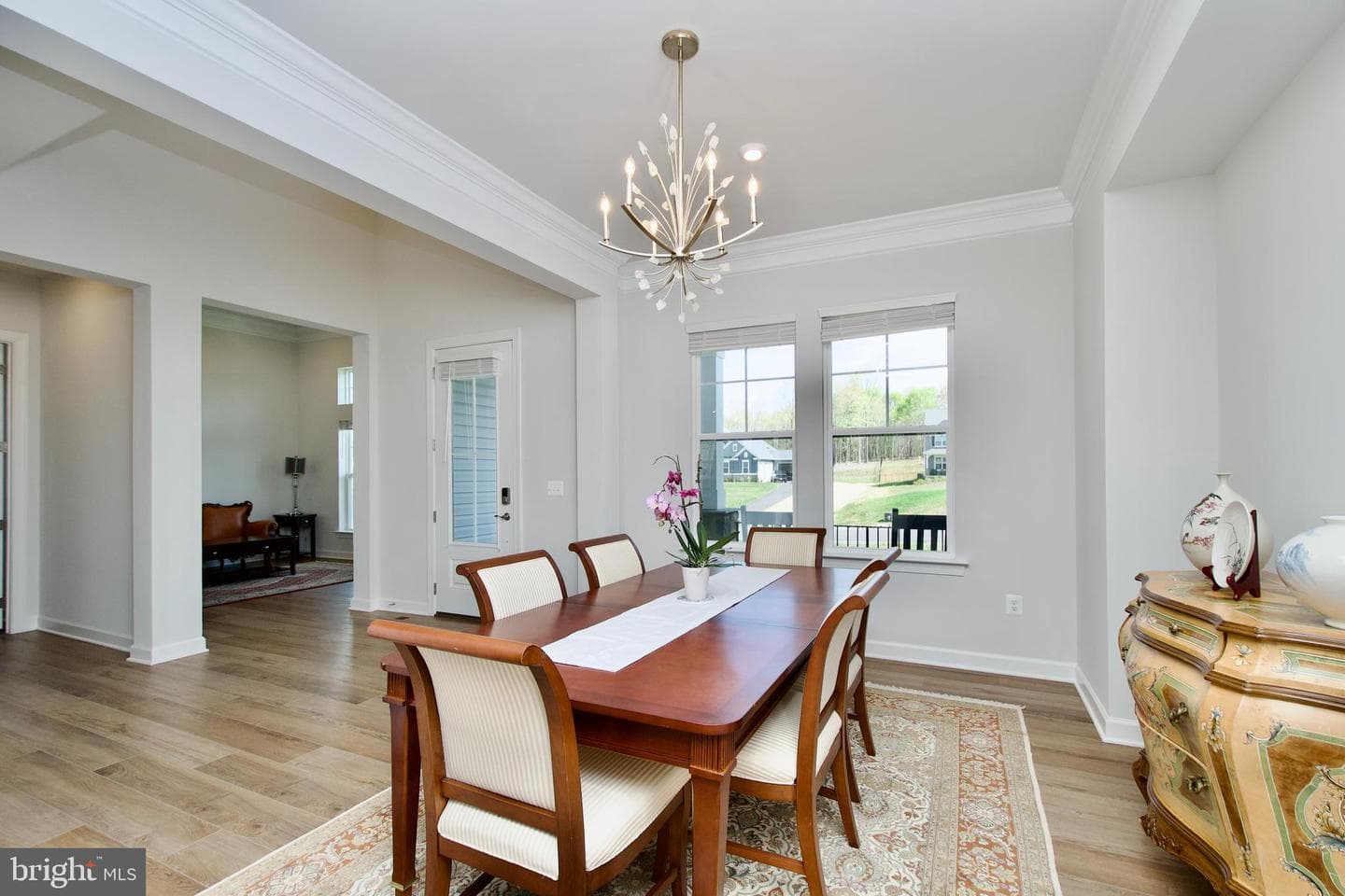 117 Liberty Garden Lane photo 8