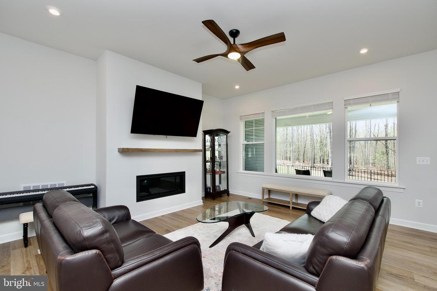 117 Liberty Garden Lane photo 9