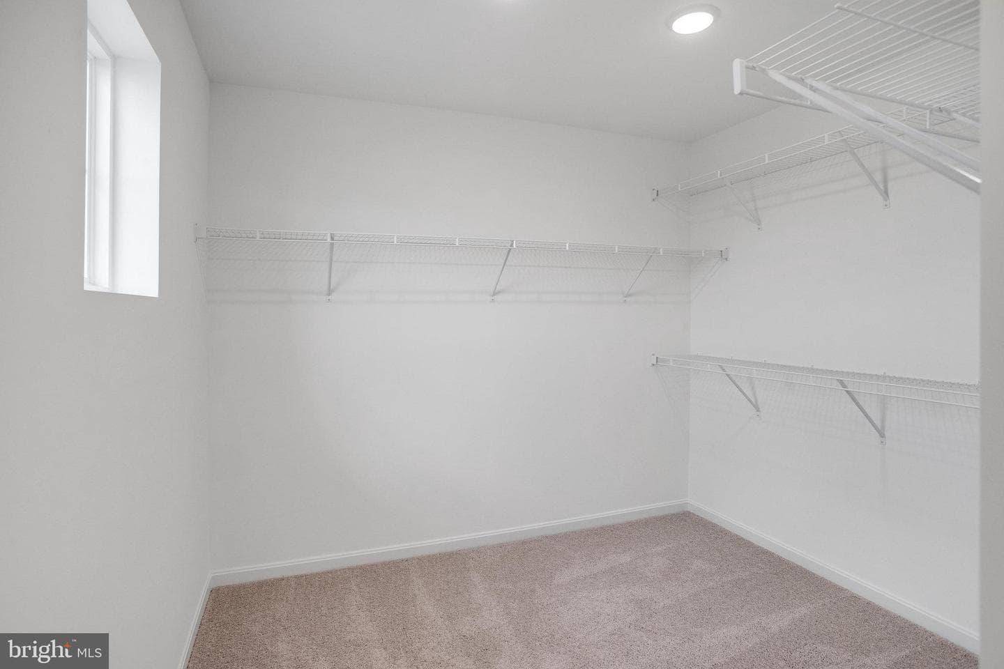 209 Camwood Court photo 24
