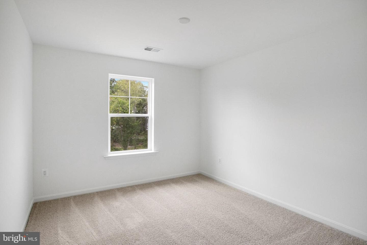 209 Camwood Court photo 27