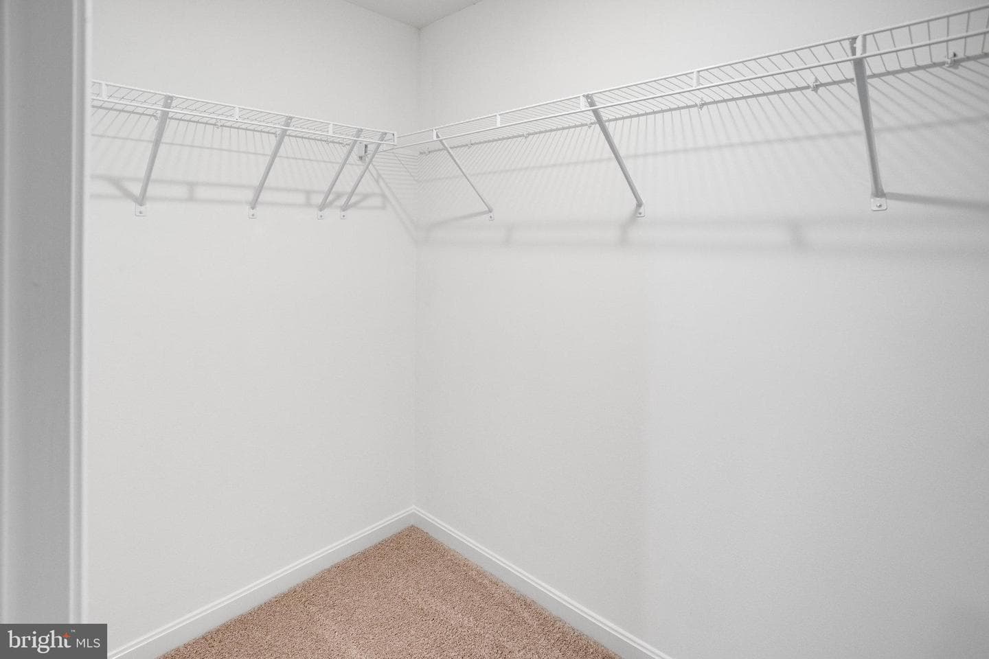 209 Camwood Court photo 45