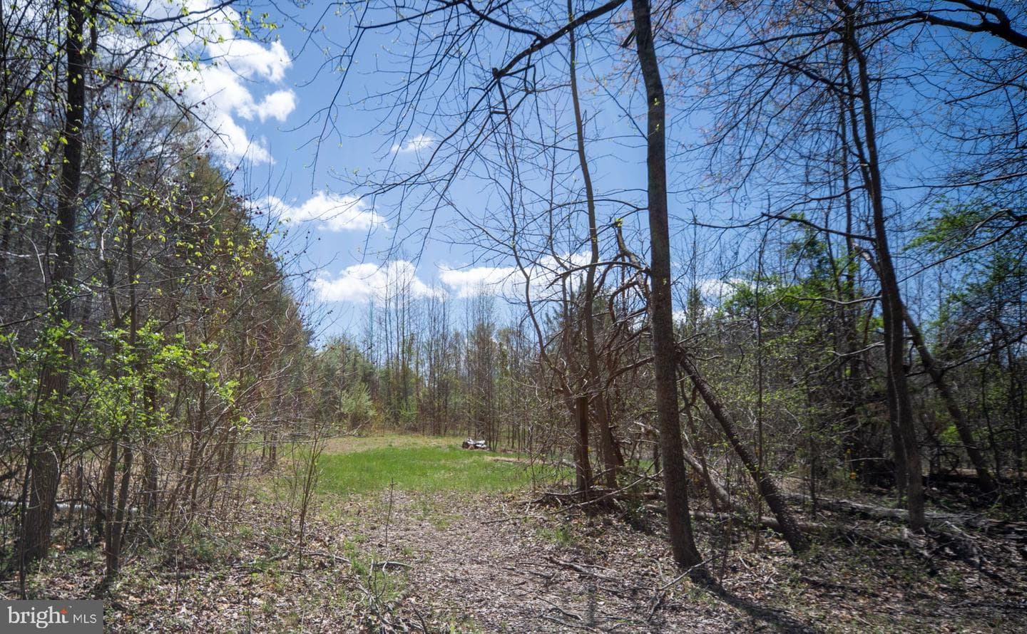 480 Stefaniga Road photo 52