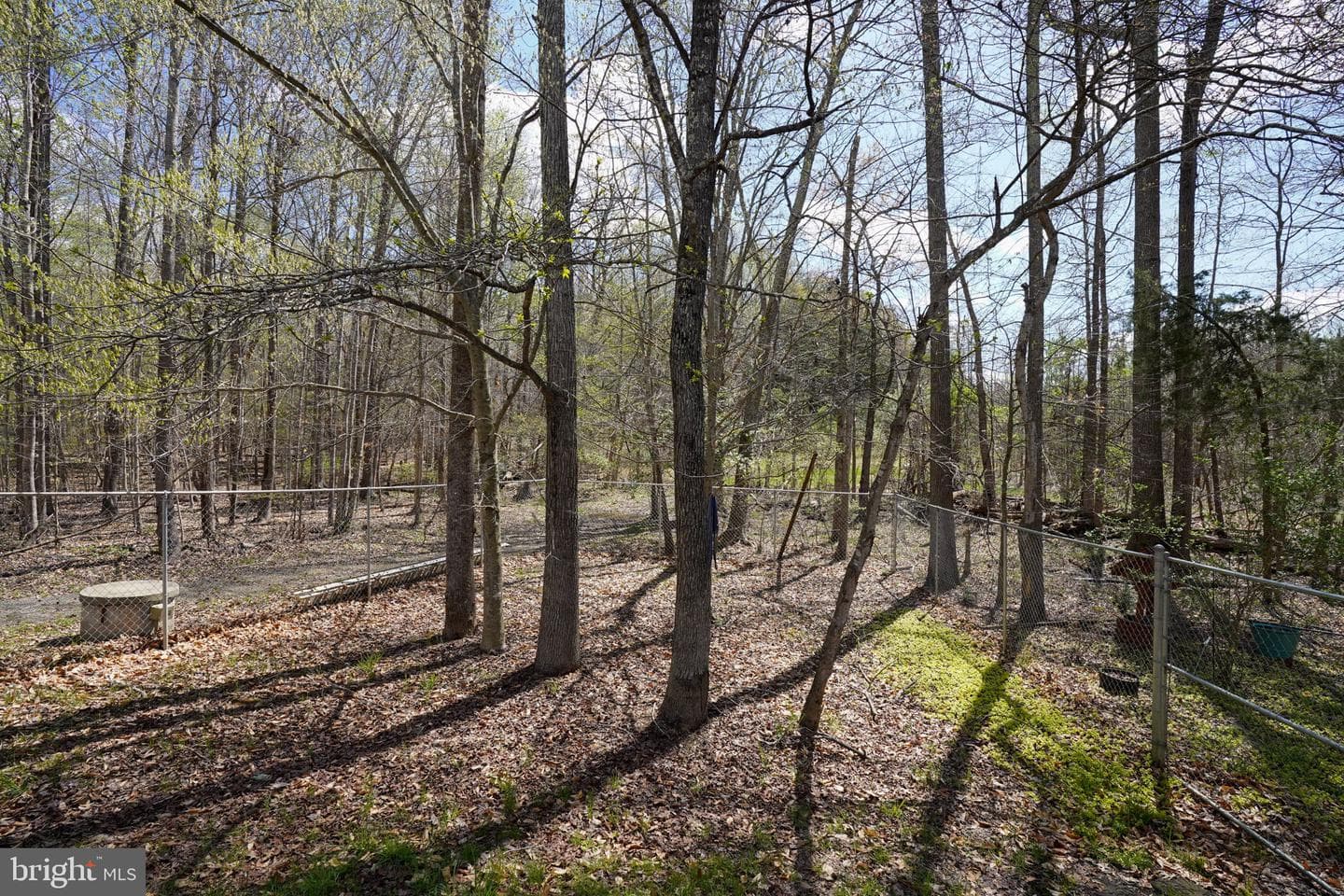 480 Stefaniga Road photo 53