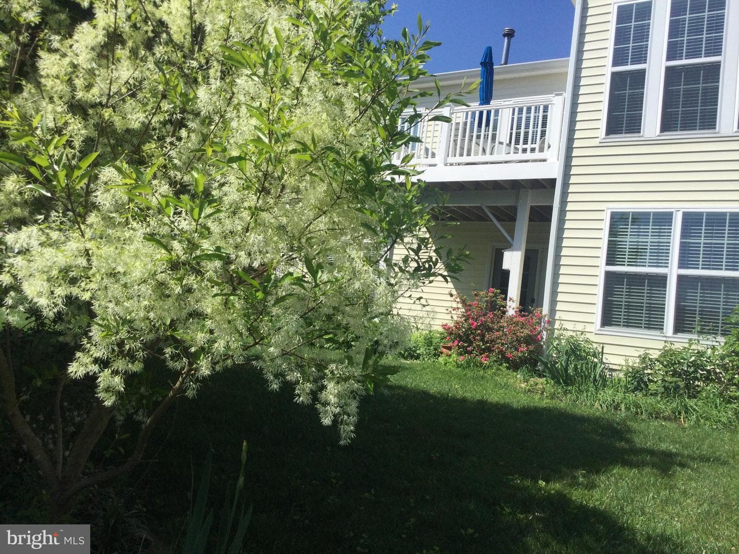 9 Brant Court photo 34