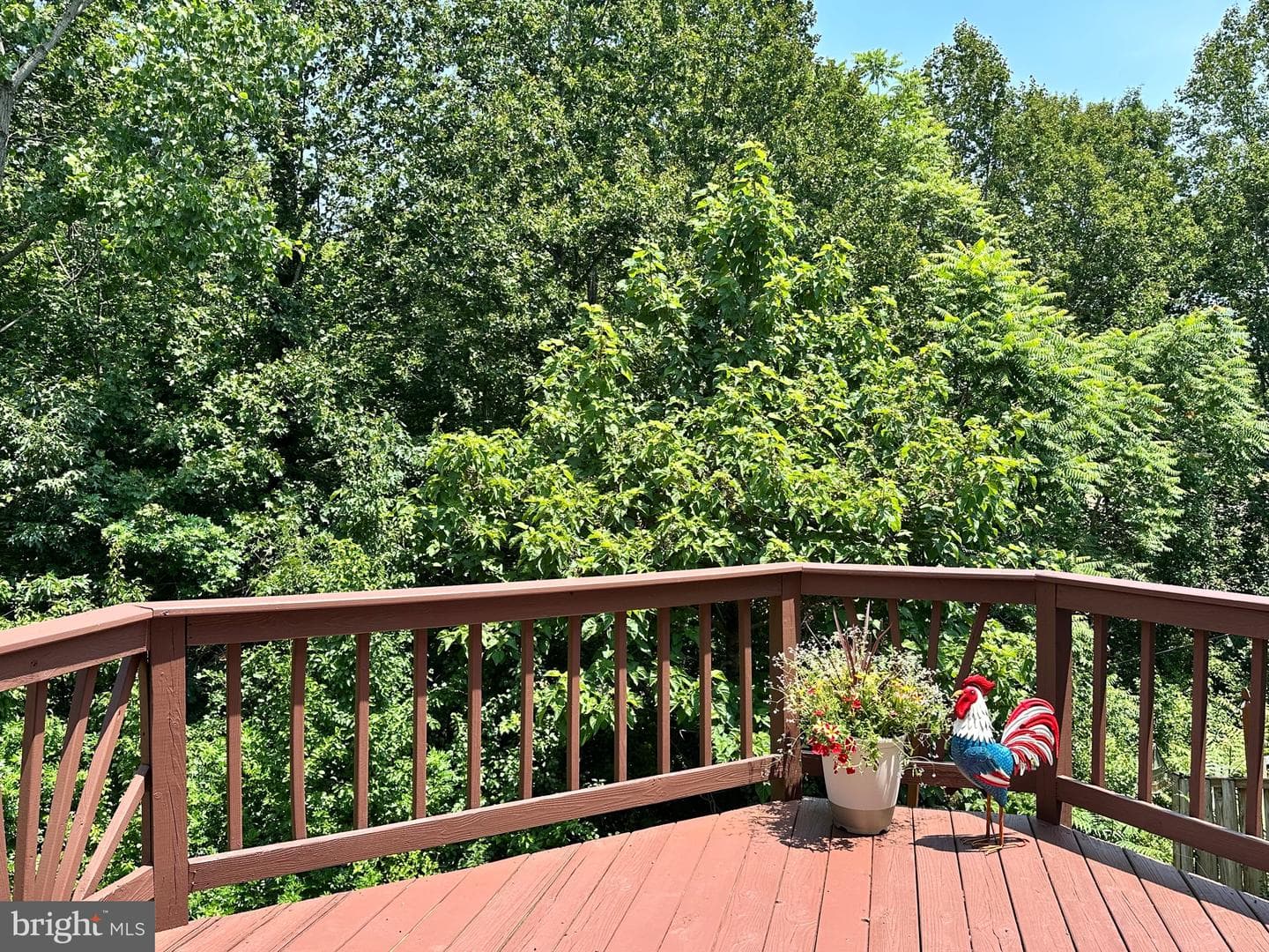 404 Pinnacle Drive photo 15