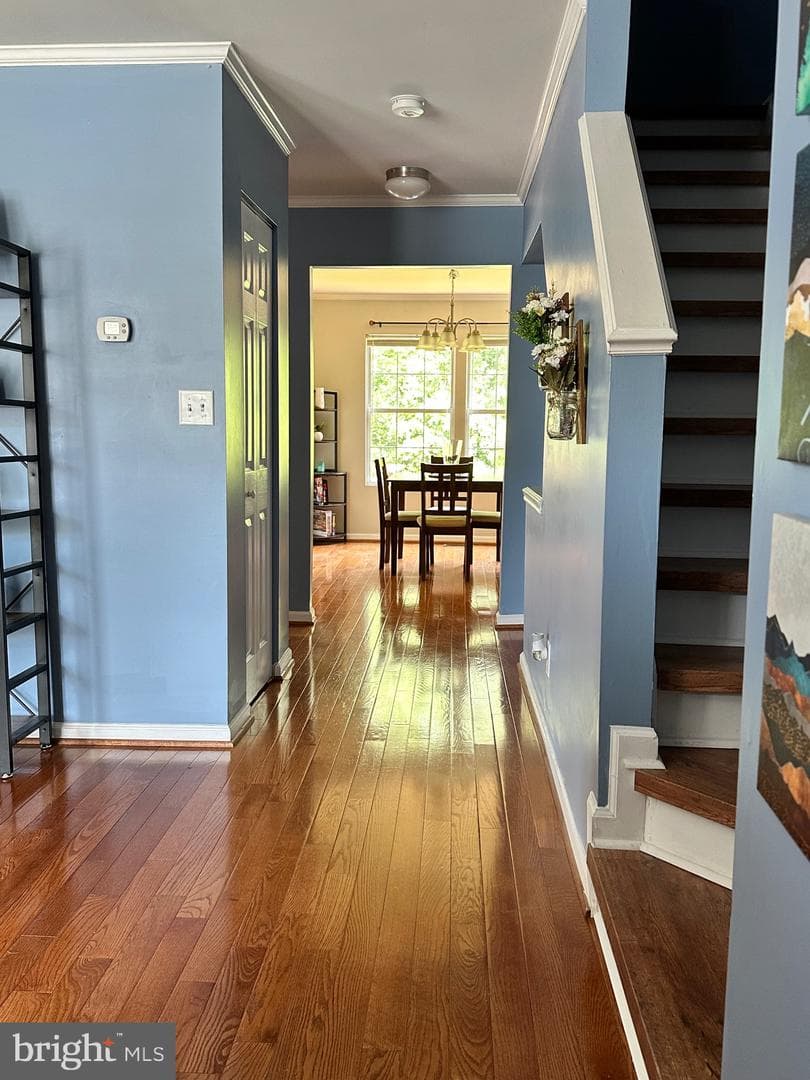 404 Pinnacle Drive photo 2