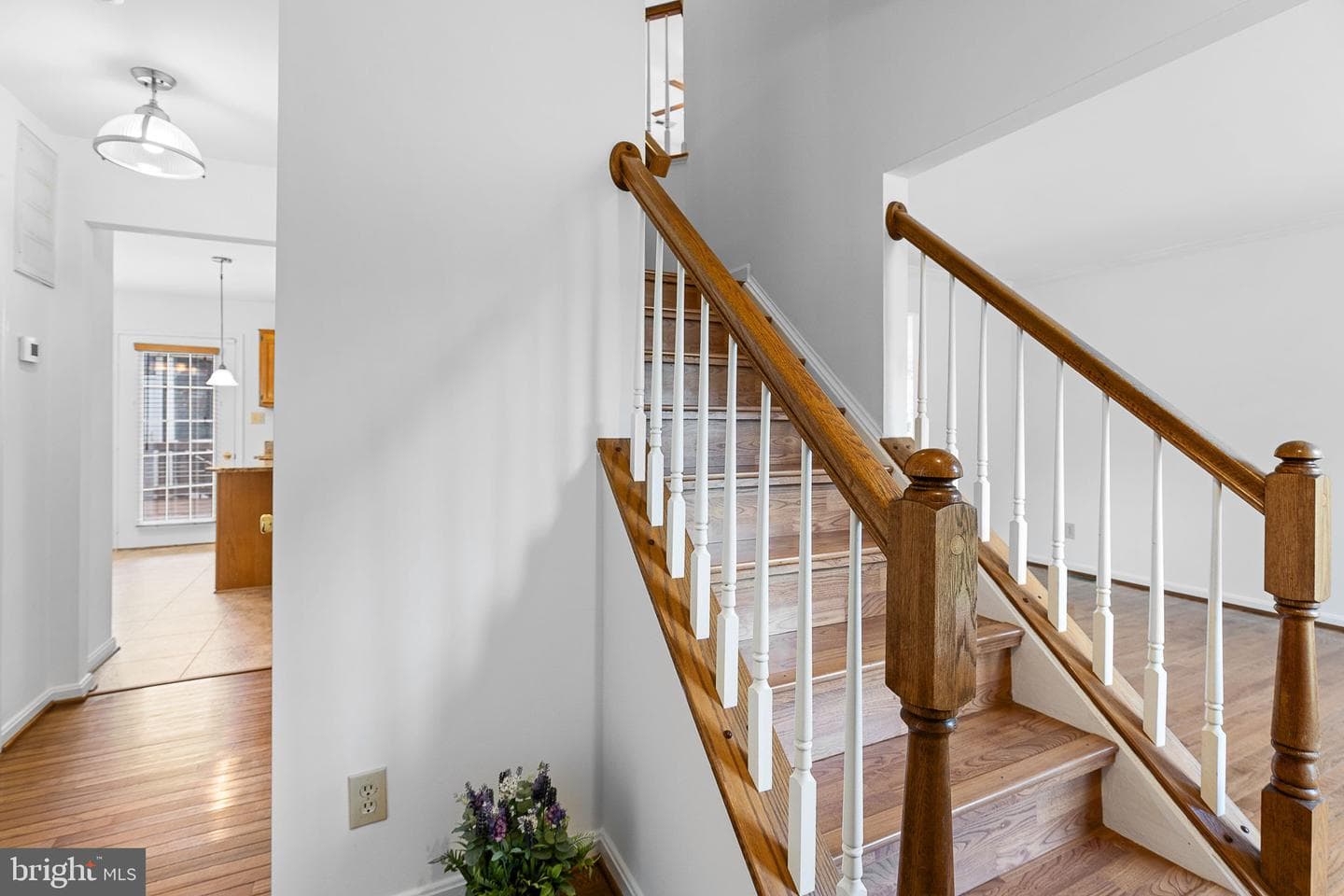 8 Westchester Court photo 2